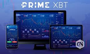 Comprehensive Insights and Reviews PrimeXBT Comprehensive Insights and Reviews PrimeXBT